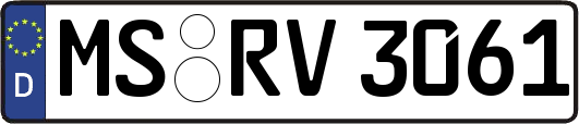 MS-RV3061