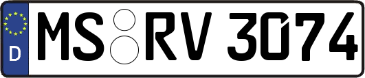 MS-RV3074