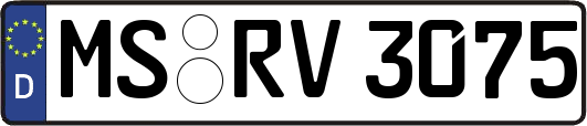 MS-RV3075