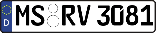 MS-RV3081