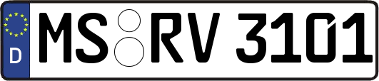 MS-RV3101