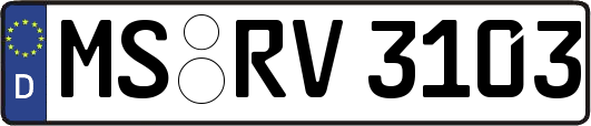 MS-RV3103