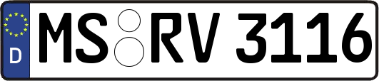 MS-RV3116