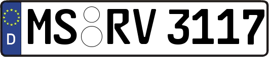 MS-RV3117