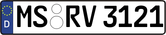 MS-RV3121