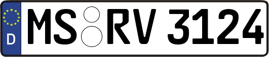 MS-RV3124