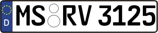 MS-RV3125