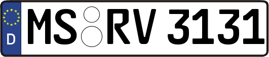 MS-RV3131