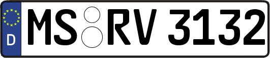 MS-RV3132
