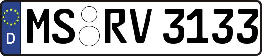 MS-RV3133