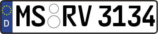 MS-RV3134