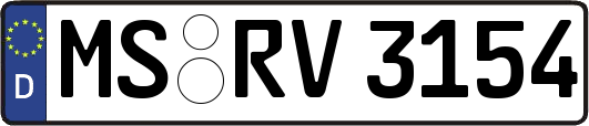 MS-RV3154