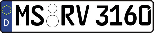 MS-RV3160