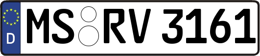 MS-RV3161