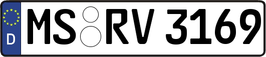 MS-RV3169