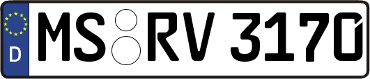 MS-RV3170