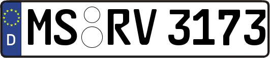 MS-RV3173