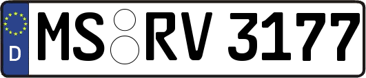 MS-RV3177
