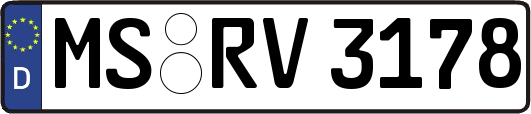MS-RV3178