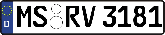 MS-RV3181