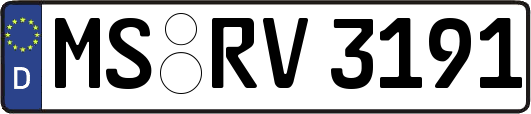 MS-RV3191