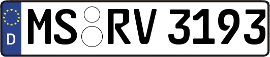 MS-RV3193
