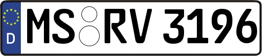 MS-RV3196