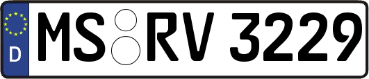 MS-RV3229