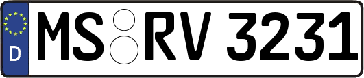 MS-RV3231