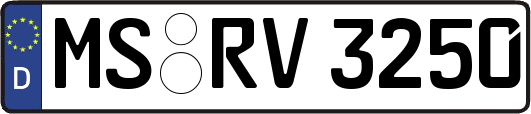 MS-RV3250