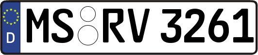 MS-RV3261