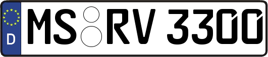 MS-RV3300