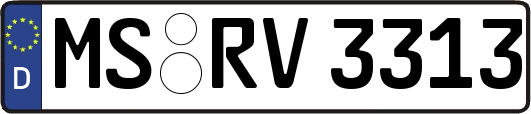 MS-RV3313