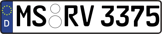 MS-RV3375