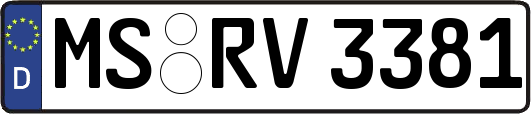 MS-RV3381