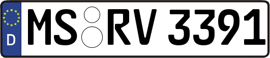 MS-RV3391
