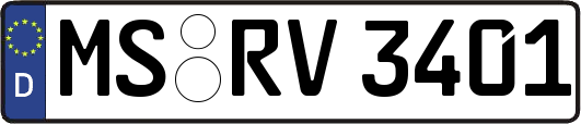 MS-RV3401