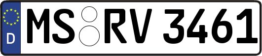 MS-RV3461