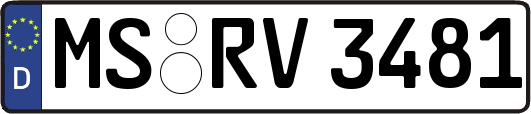 MS-RV3481