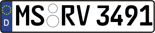 MS-RV3491