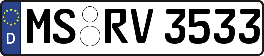 MS-RV3533