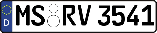 MS-RV3541