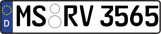 MS-RV3565