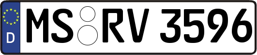 MS-RV3596