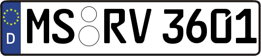 MS-RV3601