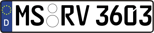 MS-RV3603