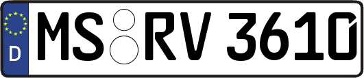 MS-RV3610