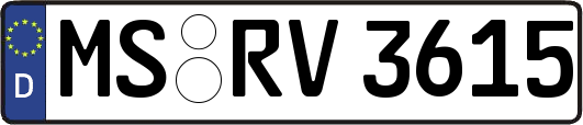 MS-RV3615