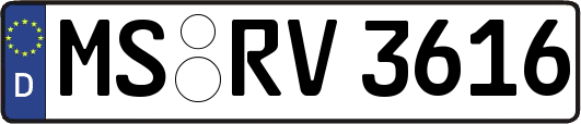 MS-RV3616