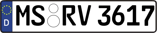 MS-RV3617